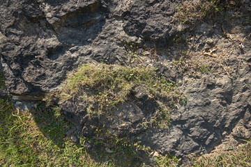 Stone texture. May be use like background.