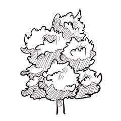 Fototapeta premium oak tree handdrawn illustration
