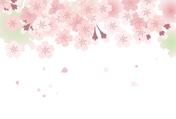 桜の背景素材（上側にデザイン）