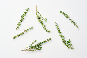 タイム　thymes　ハーブ　herb フレッシュハーブ　fresh herbs