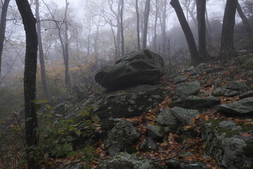 hiking in the fog 