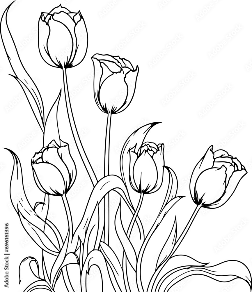 Wall mural Tulip flower decoration drawing - Wall murals