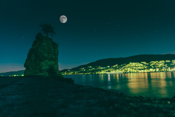 moon over the sea with a lonly tree
