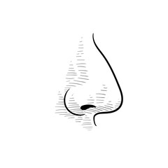 human nose handdrawn illustration