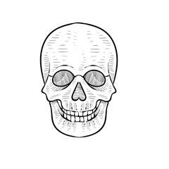 human skull handdrawn illustration