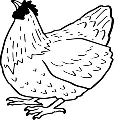 cute cartoon chicken drawing.