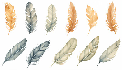 Cute Boho collection, featuring a set of bird feathers on a white background. - obrazy, fototapety, plakaty