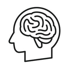 brain(human body parts series)