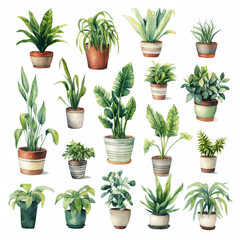 様々な種類の鉢植えの観賞植物の水彩イラストセット