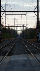 Naklejka premium The railway view with the track and the colorful woods as background in the autumn morning