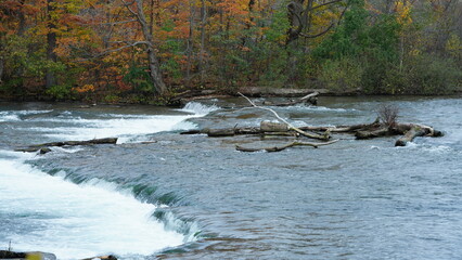 The beautiful river view with the running water and colorful forest as background in autumn