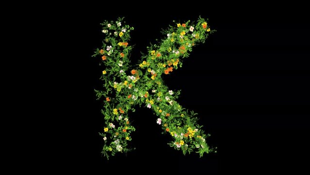English alphabet K with grass and colorful flowers on plain black background