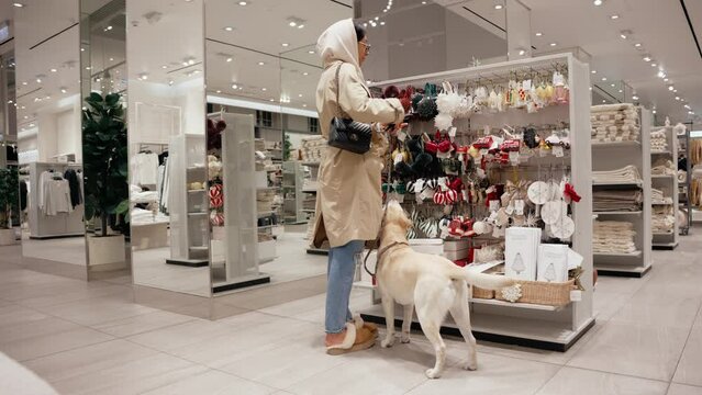 Fashionable woman choosing Christmas decoration at a pet friendly store with her happy labrador. The puppy is wagging her tail while sniffing the products. Dog friendly policies attract more costumers