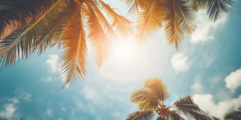 Gazing up at the blue sky and palm trees, with a vintage-style touch, creating a tropical beach and summer background with sunlights shimmering and creating a defocused effect - obrazy, fototapety, plakaty
