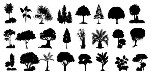 silhouette tree line drawing set, Side view, set of graphics trees elements outline symbol for architecture and landscape design drawing. Vector illustration in stroke fill in white. Tropical - obrazy, fototapety, plakaty