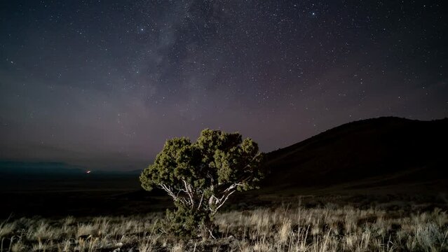 After twilight, the Milky Way crosses the grassland sky above a tree - time lapse