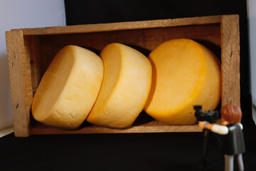 queso de varios tipos 