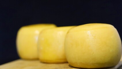 queso de varios tipos 