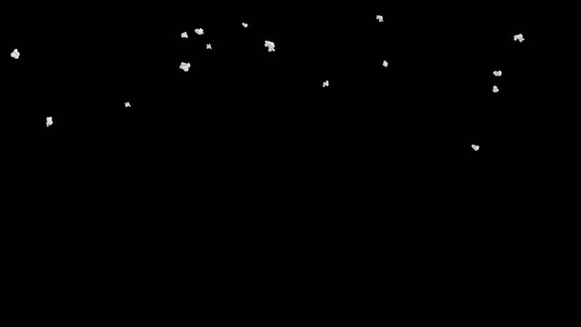Popcorn Falling on Alpha Channel. Popcorn Falling down completely clearing the frame on white background.
