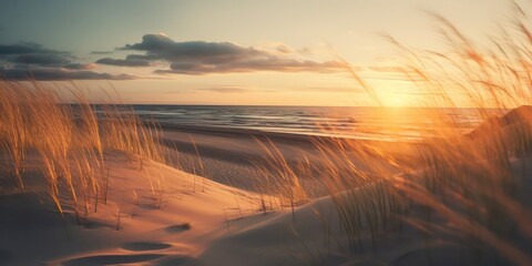 Admire the beauty of a grass dunes beach at sunset with sunlights shimmering - obrazy, fototapety, plakaty