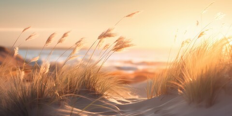 Admire the beauty of a grass dunes beach at sunset with sunlights shimmering - obrazy, fototapety, plakaty