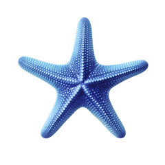 Obraz premium Blue starfish isolated on transparent background