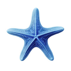 Blue starfish isolated on transparent background