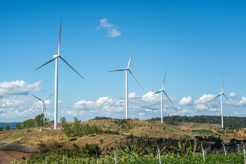 Windmill turbine farm to generate the electricity from wind energy which are installed on the...