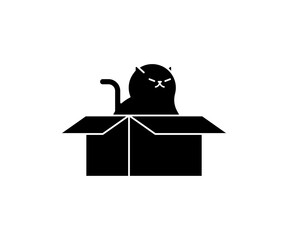 Cat in box. Pet in cardboard box. House for cat. - 696189521