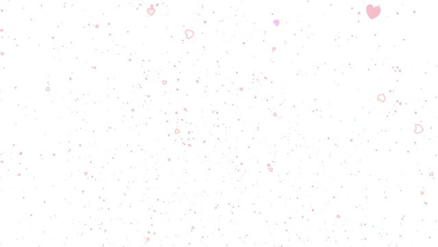 Red transparent hearts fall on a white background. Animated background for Valentine's Day.