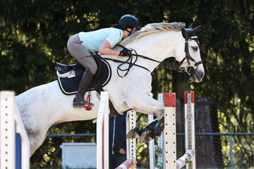 White horse with rider jumping over an obstacle, close-up from the side.