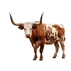 Longhorn cow isolated on transparent background