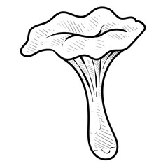 vegetable mushroom handdrawn illustration