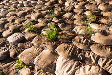 Aged sandbags on the ground