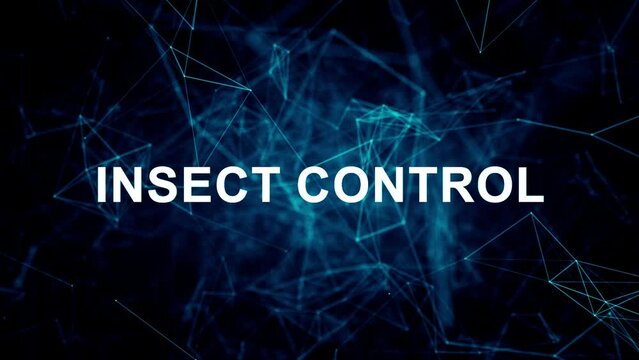 Animated futuristic texts about Pest Control Services, extermination and insect control services