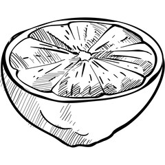 lemon handdrawn illustration