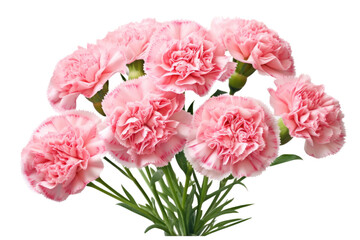 Captivating Carnation Bouquet Isolated On Transparent Background