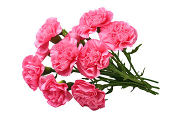 Carnation Bouquet Isolated On Transparent Background
