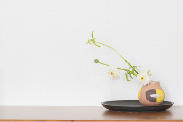 八重咲きの小さなラナンキュラス