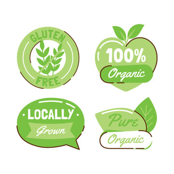 Organic food & drink Hand drawn Flat Label collection food
