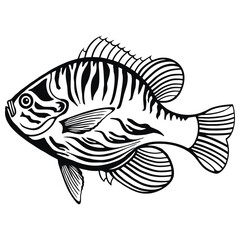 Lepomis Gibbosus - American Fishes - Logo Fish