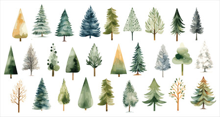 Watercolor Christmas pine trees illustrations set