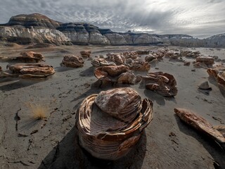 Stone desert with cracked eggs geologiclal formations in New Mexico. Farmington. Bisti Badlands. USA 