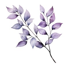 Delicate branches with purple leaves