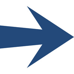 Flat Next Arrow