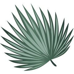 Fototapeta premium Tropical Leaves Illustration 