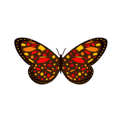Color icon for Colorful butterfly