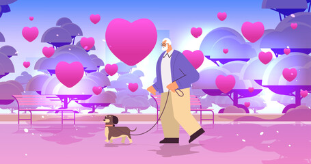 senior man in love walking in park with his little dog grandfather relaxing with pet valentines day celebration concept
