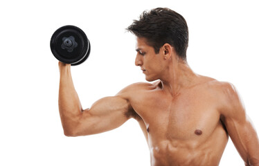 Fototapeta na wymiar Man, dumbbell and workout in studio for fitness, wellness and healthy body with exercise or training. Person, athlete or physical activity for muscles, bicep and shirtless on white background for abs