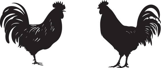 Black silhouette Set of Rooster hen on white background.